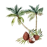 Cold Pressed Coconut oil