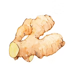 Ginger Essential oil